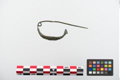 Foto von Bronzekahnfibel (NHMW-PRAE-024175)